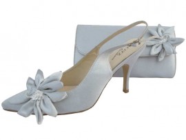 Rosa Silver Evening Shoes