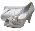 Rosebud Silver Evening Shoes