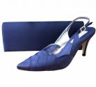 Selina Navy Evening Shoes